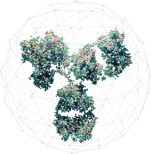 Scientist reviewing AI-designed antibody sequences on a screen